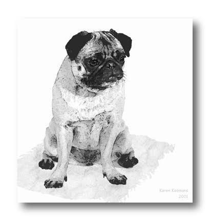 walking pug